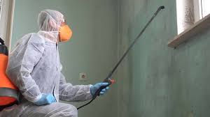 Best Basement Mold Removal in Rosemont, PA