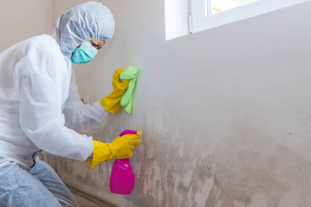 Best Mold Remediation for Healthcare Facilities in Rosemont, PA